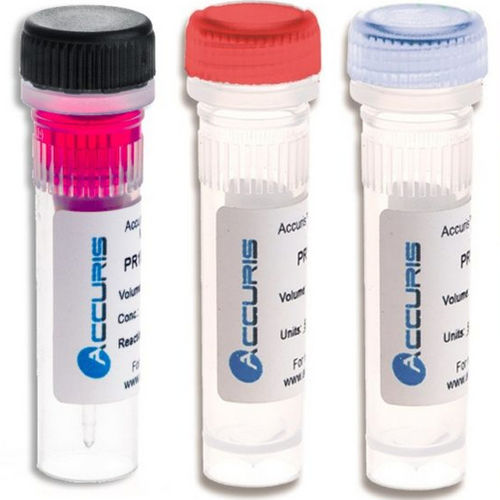 Kit de reactivos proteinasa K - PR1300-MG series - BENCHMARK SCIENTIFIC - para extracción de ADN / para genotipado / de arranque en caliente