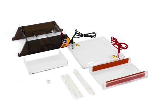 Sistema de electroforesis para PCR - DOUBLE WIDE MINI GEL-O - IBI Scientific - de mesa / compacto