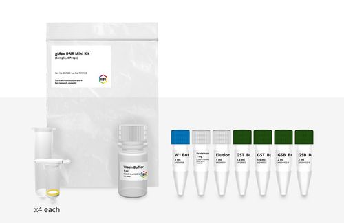 Kit de reactivos proteinasa K - GMAX MINI - IBI Scientific - de muestras de sangre / para histologia / para PCR