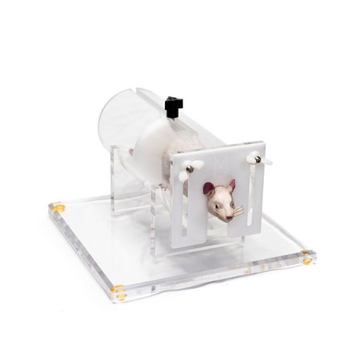 Dispositivo de contención para experimentación con animales - RR-300 - IBI Scientific