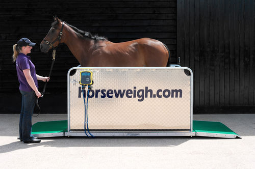 Balanza veterinaria electrónica - Olympic - Horse Weigh - para caballos / plataforma / con visualizador portátil