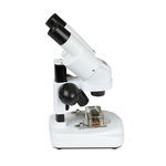 estereomicroscopio óptico