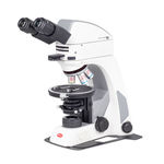 microscopio polarizante