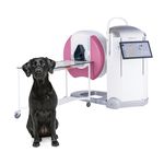 esc&aacute;ner CBCT veterinario para animales de compa&ntilde;&iacute;a