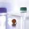 reactivo de laboratorio veterinariovirotype Influenza A Positive ControlINDICAL BIOSCIENCE GmbH