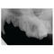 sistema de radiograf&iacute;a veterinaria digitalSignalSMILE&reg;SignalPET