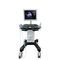 ec&oacute;grafo port&aacute;til, con carroDW-750Dawei Medical