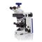microscopio ópticoAxioscopeZEISS