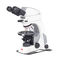 microscopio ópticoPanthera TEC POL CloudMotic Europe