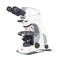 microscopio polarizantePanthera TEC POL Motic Europe