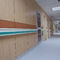 panel para quir&oacute;fanoChangzhou Zhongtian Fire-proof Decorative Sheets Co., Ltd.