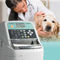 analizador de inmunolog&iacute;a autom&aacute;ticoAU10VFUJIFILM Healthcare
