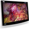 monitor médicoRADIANCE® ULTRANDS Surgical Imaging