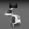 ec&oacute;grafo con soporteP80SonoScape