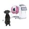 esc&aacute;ner CBCT veterinario para animales de compa&ntilde;&iacute;aPlanmed Verity&reg; VETPlanmeca