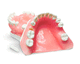 modelo anatómico de dientes / de encías / de implantología / de formación