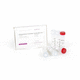 kit de reactivos inhibidor de RNasa / de RT-qPCR / para síntesis de ADNc / de proteínas