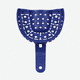 molde dental superior