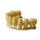 material dental de resina / ortodóntico / para impresión en 3D / de modelización