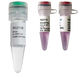 kit de reactivos enzima / colorante / de RT-qPCR