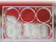 microplaca de laboratorio / de cultivo celular / 6 pocillos / de células