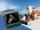 ecógrafo veterinario portátil / multifuncional / para porcinos / para bovinos
