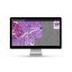 software para microscopía virtual / de análisis de imágenes / de intercambio / nube