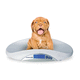 balanza electrónica / para animales pequeños / veterinaria / portátil