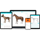 software de gestión / médico / TEP / veterinario