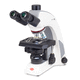 microscopio trinocular / óptico / de laboratorio / recto