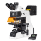 microscopio de epifluorescencia / óptico / para citología / clínico
