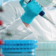 kit de prueba para enfermermedades infecciosas / de contaminación / HPV / para PCR en tiempo real