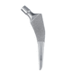 vástago femoral no cementado