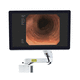 monitor para endoscopia / Full HD / 4K / 42