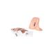 simulador de reparación del esfínter anal / de formación / obstetricoginecológico / femenino