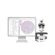 sistema de imagen celular automático / para citología