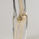 fantoma de prueba para radiología / de brazo / de codo