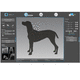 software de adquisición / de mejora de la imagen / para radiología veterinaria / dental veterinario