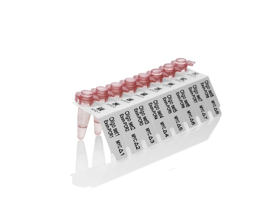 Etiquetas no adhesivas para tubos de PCR de alto perfil y tiras de tubos