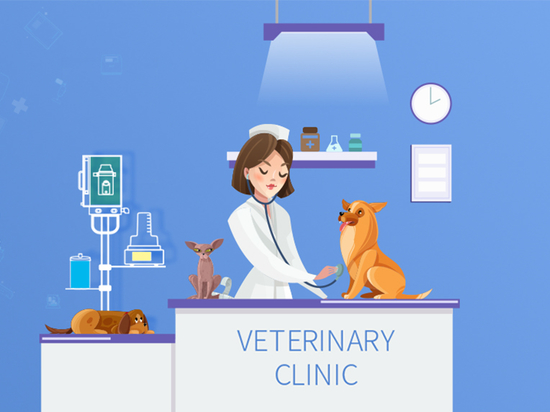 Anestesia inhalatoria, su mejor opción para la anestesia veterinaria