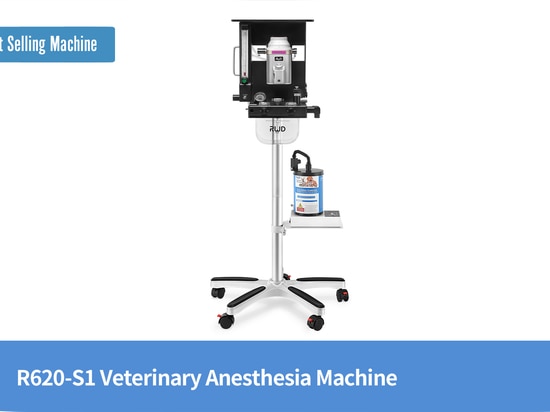 Máquina de anestesia veterinaria R620-S1