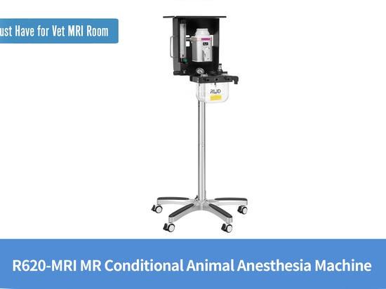 R620-MRI Máquina de anestesia condicional para animales