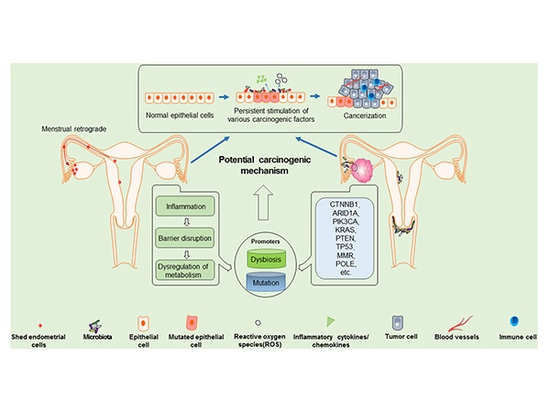 Investigación de genotipado de SpaceGen en carcinoma endometrioide de ovario