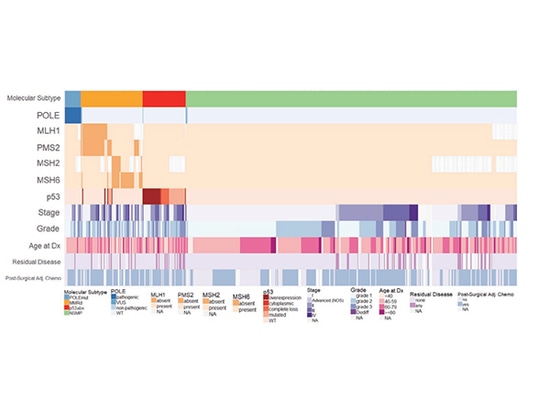 Investigación de genotipado de SpaceGen en carcinoma endometrioide de ovario