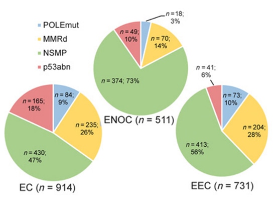 Investigación de genotipado de SpaceGen en carcinoma endometrioide de ovario