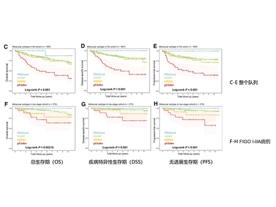 Investigación de genotipado de SpaceGen en carcinoma endometrioide de ovario