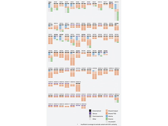 Investigación de genotipado de SpaceGen en carcinoma endometrioide de ovario