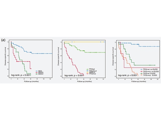 Investigación de genotipado de SpaceGen en carcinoma endometrioide de ovario