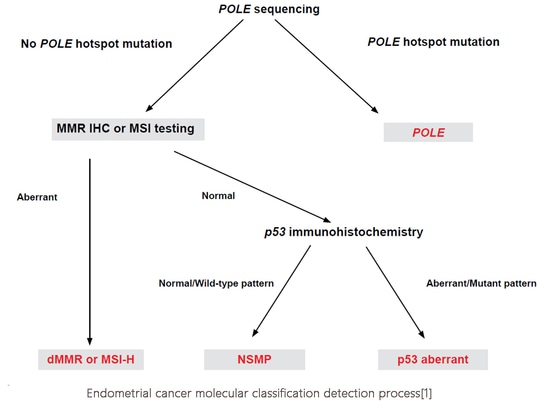 Proceso de detección de la clasificación molecular del cáncer de endometrio[1]