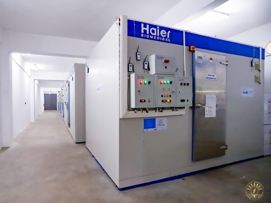 Impulsando la salud mundial: Haier Biomedical revoluciona el almacenamiento y el transporte de vacunas